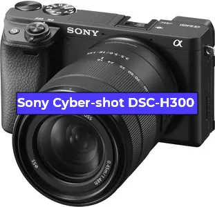 Замена Прошивка фотоаппарата Sony Cyber-shot DSC-H300 в Санкт-Петербурге